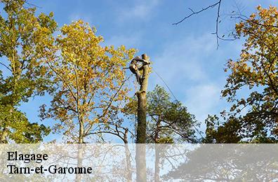 Elagage Tarn-et-Garonne