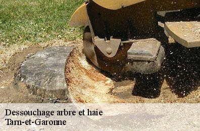 Dessouchage arbre et haie Tarn-et-Garonne