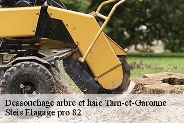 Dessouchage arbre et haie 82 Tarn-et-Garonne Steis Elagage pro 82