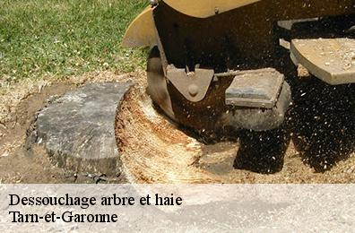 Dessouchage arbre et haie Tarn-et-Garonne