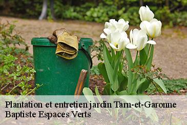 Plantation et entretien jardin 82 Tarn-et-Garonne