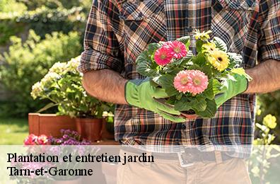 Plantation et entretien jardin Tarn-et-Garonne