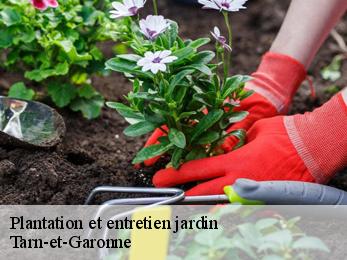 Plantation et entretien jardin Tarn-et-Garonne 