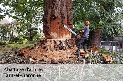 Abattage d'arbres Tarn-et-Garonne 