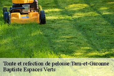 Tonte et refection de pelouse 82 Tarn-et-Garonne  Baptiste Espaces Verts 