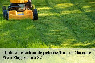 Tonte et refection de pelouse 82 Tarn-et-Garonne Elagage 82