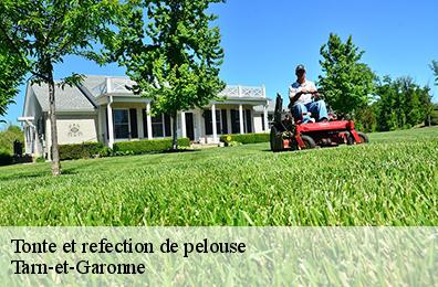 Tonte et refection de pelouse Tarn-et-Garonne