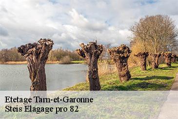 Etetage 82 Tarn-et-Garonne Steis Elagage pro 82