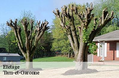 Etetage Tarn-et-Garonne