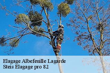 Elagage albefeuille-lagarde-82290 Steis Elagage pro 82