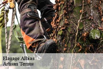 Elagage  albias-82350 Artisan Ternus