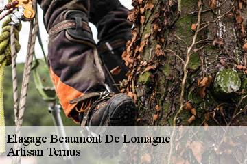 Elagage  beaumont-de-lomagne-82500 Artisan Ternus