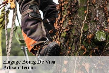 Elagage  bourg-de-visa-82190 Artisan Ternus