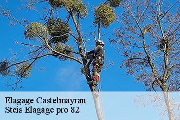 Elagage castelmayran-82210 Steis Elagage pro 82