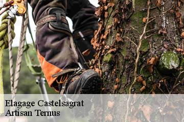 Elagage  castelsagrat-82400 Elagage Calvet