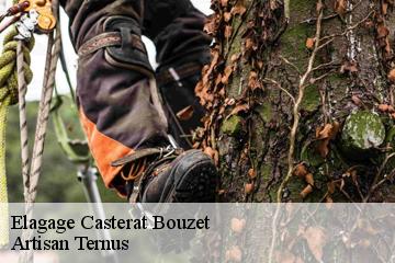 Elagage  casterat-bouzet-82120 Artisan Ternus