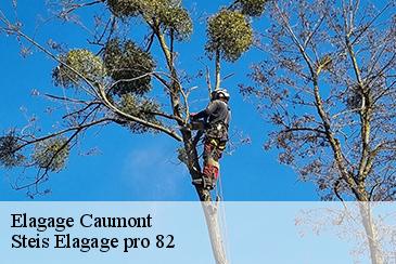 Elagage caumont-82210 Steis Elagage pro 82