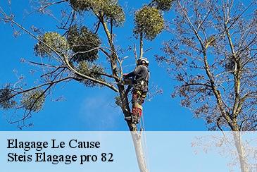Elagage le-cause-82500 Steis Elagage pro 82