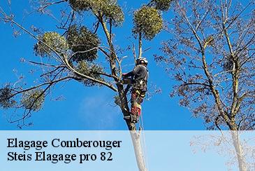 Elagage comberouger-82600 Steis Elagage pro 82