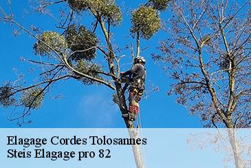 Elagage  cordes-tolosannes-82700 Steis Elagage pro 82