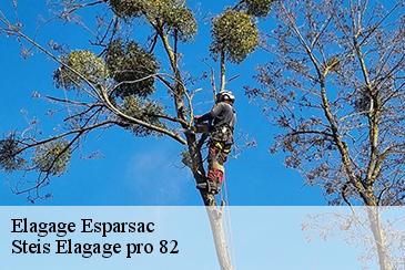 Elagage esparsac-82500 Steis Elagage pro 82