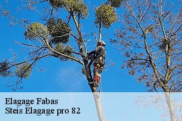 Elagage  fabas-82170 Steis Elagage pro 82