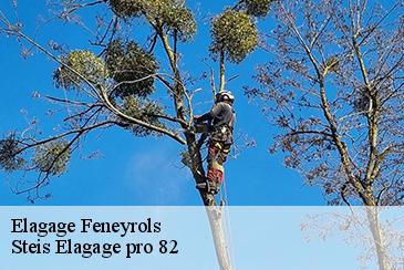 Elagage feneyrols-82140 Steis Elagage pro 82