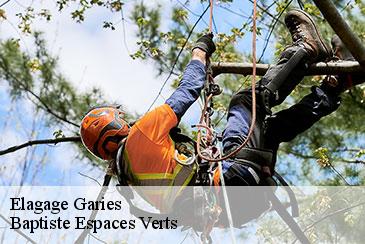 Elagage  garies-82500 Baptiste Espaces Verts 