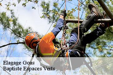 Elagage goas-82500 Baptiste Espaces Verts