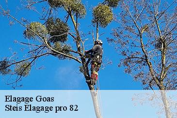 Elagage  goas-82500 Steis Elagage pro 82