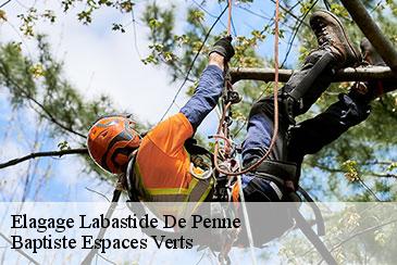 Elagage labastide-de-penne-82240 Baptiste Espaces Verts
