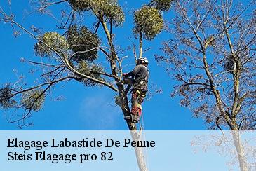 Elagage labastide-de-penne-82240 Steis Elagage pro 82