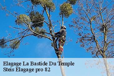 Elagage  la-bastide-du-temple-82100 Steis Elagage pro 82