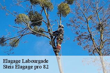 Elagage labourgade-82100 Steis Elagage pro 82