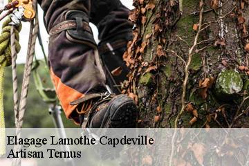 Elagage  lamothe-capdeville-82130 Artisan Ternus