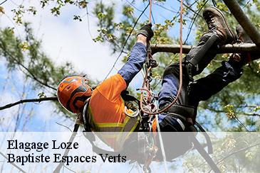 Elagage loze-82160 Baptiste Espaces Verts