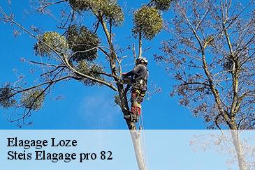 Elagage loze-82160 Steis Elagage pro 82