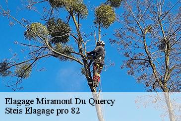 Elagage miramont-du-quercy-82190 Steis Elagage pro 82