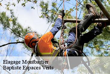 Elagage montbartier-82700 Baptiste Espaces Verts