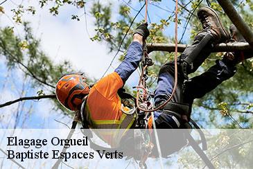 Elagage  orgueil-82370 Baptiste Espaces Verts 