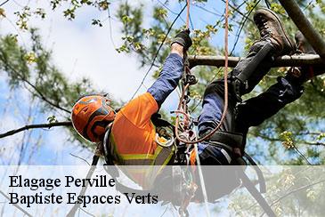 Elagage perville-82400 Baptiste Espaces Verts