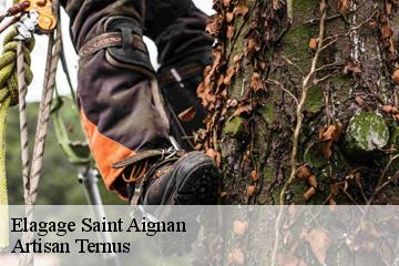 Elagage  saint-aignan-82100 Artisan Ternus