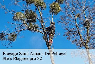 Elagage saint-amans-de-pellagal-82110 Steis Elagage pro 82