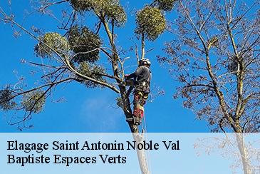 Elagage  saint-antonin-noble-val-82140 Baptiste Espaces Verts 