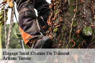 Elagage  saint-etienne-de-tulmont-82410 Artisan Ternus