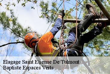 Elagage saint-etienne-de-tulmont-82410 Baptiste Espaces Verts