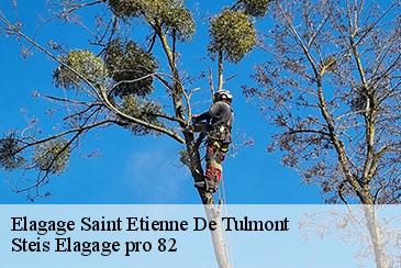 Elagage saint-etienne-de-tulmont-82410 Steis Elagage pro 82