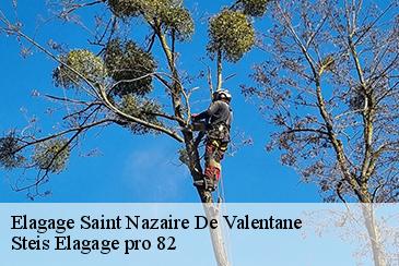 Elagage  saint-nazaire-de-valentane-82190 Steis Elagage pro 82