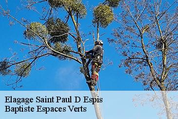 Elagage  saint-paul-d-espis-82400 Baptiste Espaces Verts 