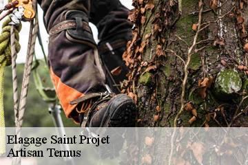 Elagage  saint-projet-82160 Artisan Ternus